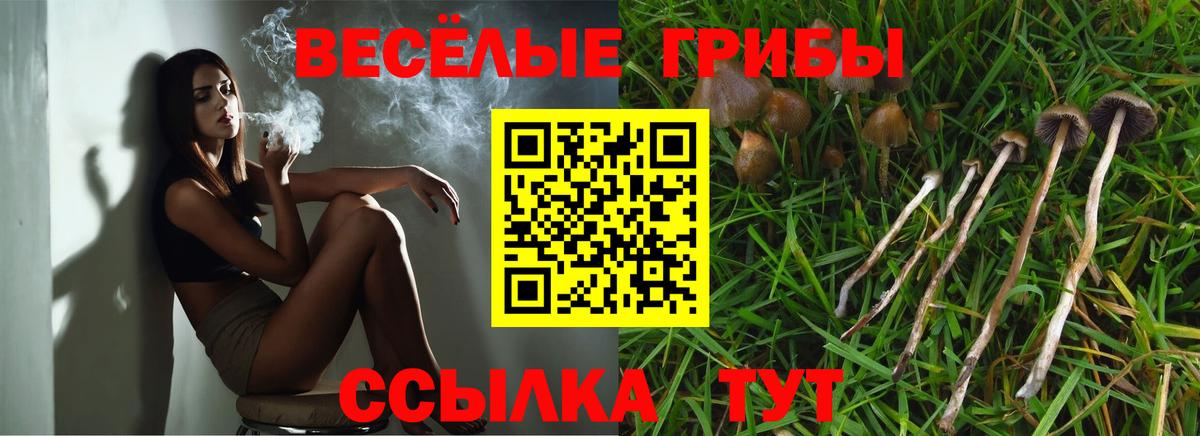 Галлюциногенные грибы Cubensis Орёл